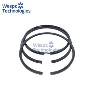 China WESPC 4181A041 Piston Ring Set Perkins 1004 1006 Diesel Engine Cylinder Rebuild on sale