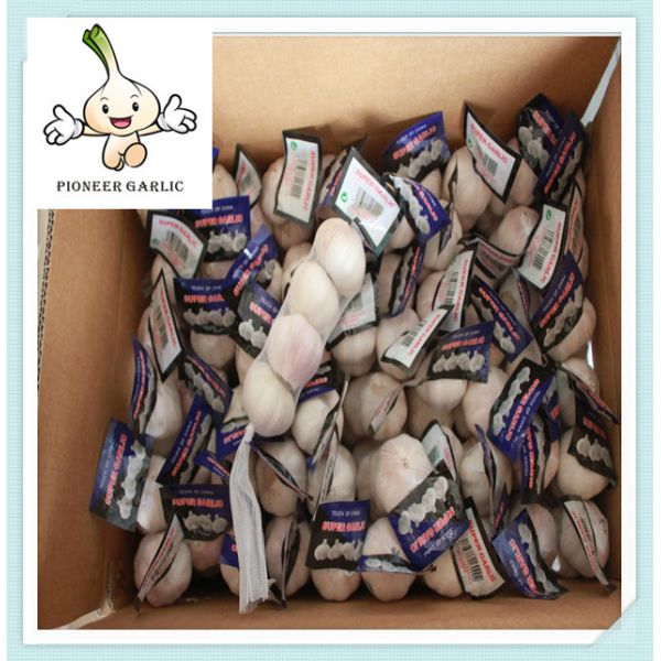 Buy 2016 fresh normal white garlics packed in 10kg box Low Price Chinese Fresh Garlic 6.0CM at wholesale prices