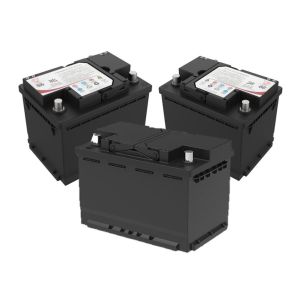 Quality LiFePo4 Lithium Ion Car Starter Automobile Power Starter Lithium for sale