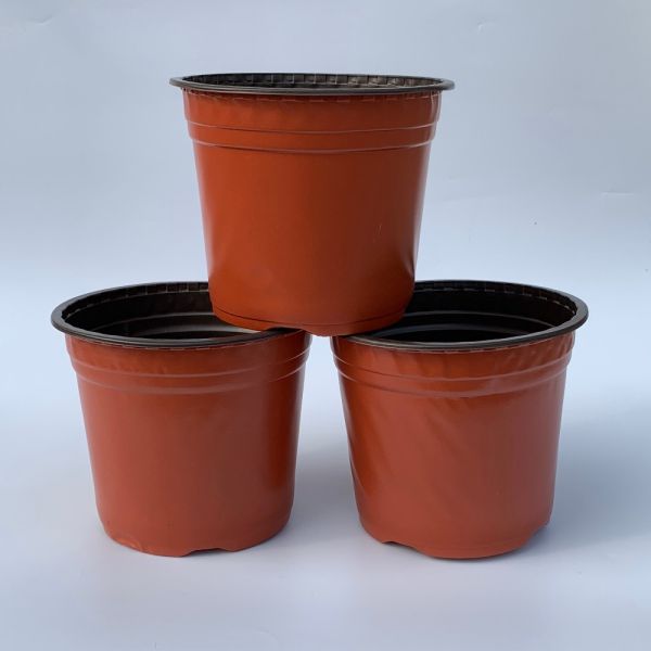 High quality PP plastic soft flower pot plastic nursery plant pot in Quality Assurance