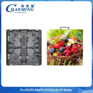 65536 Dot/㎡ Indoor Video Led Display Screen P1.9 P2.6 P2.98 P3.91 Rental Led