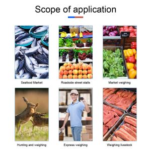 300kg/50g Digital LCD Smart Electronic Hook Scale Professional Waterproof