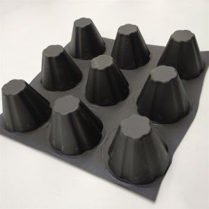 Quality Traditional Design Style Water Conservancy HDPE PVC Drainage Board for Protecting Turf for sale