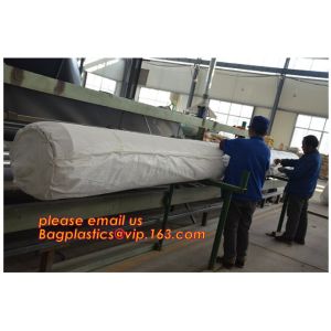0.75mm Geomembrane for Irrigation Water storage Pond, 00:10 Impervious membrane