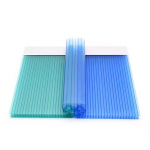 China 6mm-40mm Thickness Strong Customized Danpalon U-locking Polycarbonate Facade Transparent Polycarbonate Hollow Sheet on sale