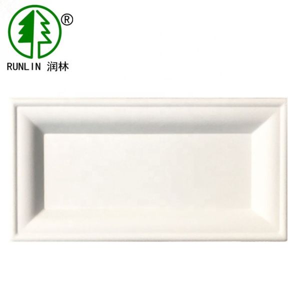 BPA Free Compostable Eco Friendly Disposable Dishes Biodegradable Bagasse