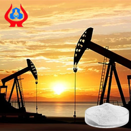 Oil Drilling Grade CMC And PAC Factory Direct Sell With High Purity And Apparent