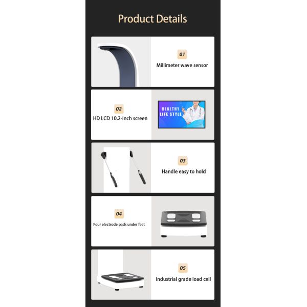 Height Weight Body Composition Analyzer Protein Balance for Spa