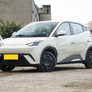 2025 BYD Seagull, upgraded intelligent driving, improved safety configuration.