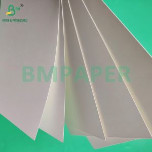 230gsm 260gsm Single Side PE Coated Cup Paper For Making Cup Paper