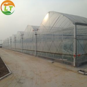 China 95% Transmittance Agricultural Plastic Film Greenhouse With Film Cover Material on sale