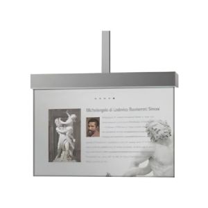 Commercial Intelligent Indoor Transparantcy OLED Advertising Display Player