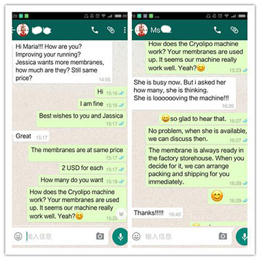 Beautiful Design High Quality Manufacturer Direct Sale Portable Cryolipolysis Machine For