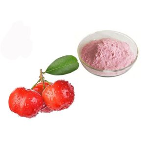 Buy cheap Vitamin C 17% 25% Acerola Cherry Natural Fruit Extract Powder from wholesalers