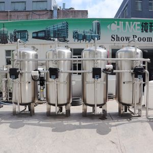 DOW Membrane SS304 4T/H RO Water Treatment Plant