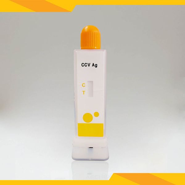 Veterinary Canine Coronavirus Detection Kit Rapid Diagnostic Test Kit Convenient