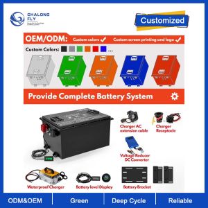 OEM ODM LiFePO4 Lithium Battery Pack Customized Golf Cart Lithium Ion Battery