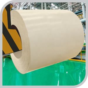 Dongmeng RAL9010 Prepainted Galvanized Steel Sheet Coil Z61-Z80 Coating