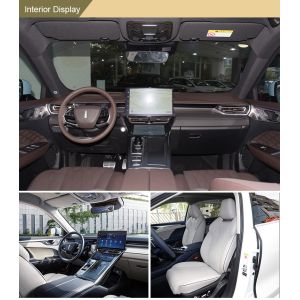 WEY Mocha 01 2.0T 2023 Multi-function Steering Wheel Electric Rear Window Petrol