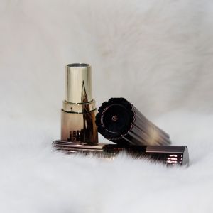 OEM ODM ABS Plastic Unique Empty Lipstick Case Packaging 20g