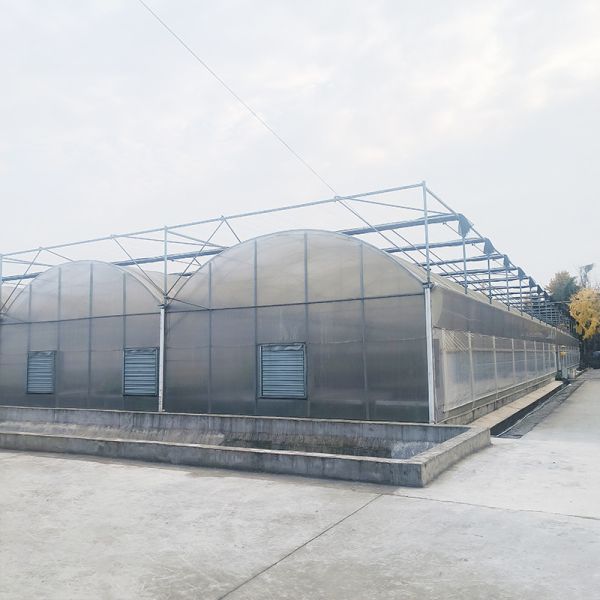 Buy Vegetables Multi-span PE Film Plastic Greenhouse With Optional Cooling And Irrigation Systems at wholesale prices