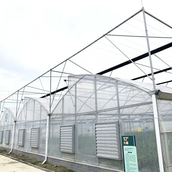 Steel Tructure Sawtooth Poly Film Low Tunnel Agricultural Multi-span Greenhouse for Sustainable Vegetable Production
