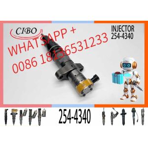 254-4340 Neutral and new Diesel Engine Parts C7 C9 Fuel Injector 254-4340 for