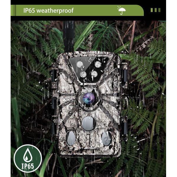 IP65 Waterproof Night Vision Trail Camera 26MP Built In 4G Module