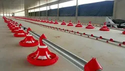 Buy Accuracy 2g Chicken Feeding Line PLC Automatic Broiler Feeding System at wholesale prices