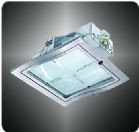 Quality Big Down Light for sale