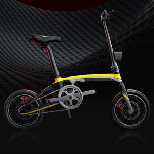 Carbon Fibre Lightest Folding Electric Bike 250W With Sealed Axis