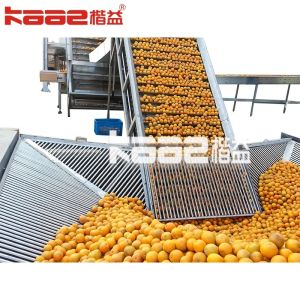 Citrus Fruit NFC Juice Processing Machinery Line With Customized Machine