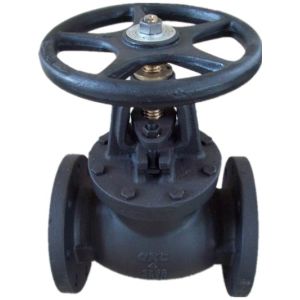 China ANSI globe valve on sale