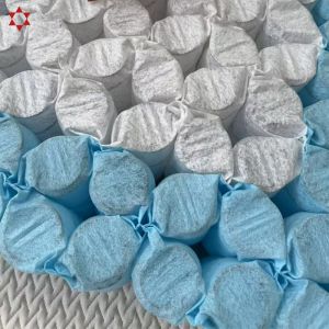 Factory Customization Environmentally Friendly Double Layer Pocket Spring Unit