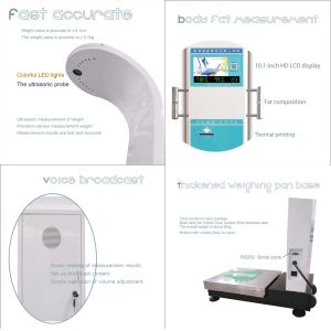 Height And Weight Body Fat Analyzer Scale Coin Operated Digital