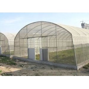 Single Span Plastic Tunnel Greenhouses Polyethylene Film Greenhouse For