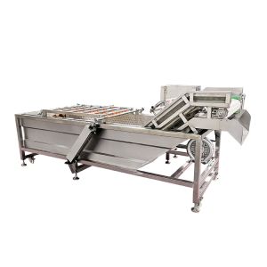 Professional Grape Washing Machine With CE Certificate