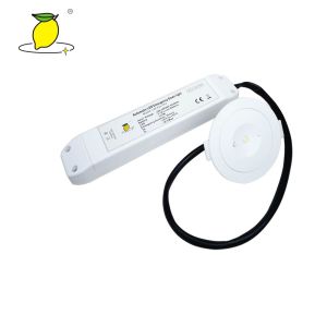 maintained emergency downlight AC 120 - 270V led rechargeable lights