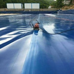 Fish Farm Pond Liner HDPE Geomembrane Waterproof Plastic Materials Geomembrane