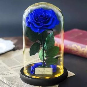 Luxury DIY Gift Preserved Rose In Forbidedden Glass Dome Long Lasting Beauty And The Beast Rose
