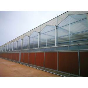 Commercial Greenhouse PE Film Plastic Agriculture Greenhouse for USA/Canada