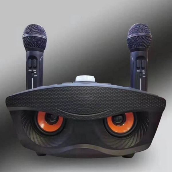 30W Family Karaoke Multifunctional Wireless Speak With Mic Recorder