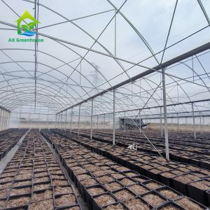 Multiple Span Plastic Greenhouse With Whole Systems