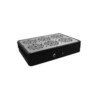 greenhouse application hydroponic grow systems led lights cidly full spectrum