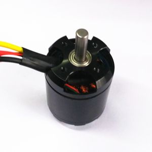 14 Poles Sensored Brushless DC Motor
