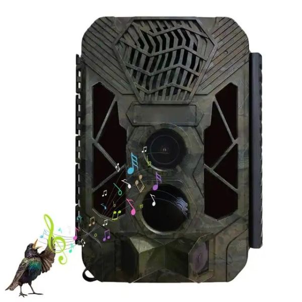 Buy HB561 Trail Camera Infrared Night Vision 1080P Hunting Cameras at wholesale prices