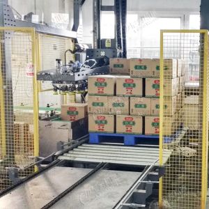 LeadWorld Automatic Stacking Packing Line Servo Driven Palletizer