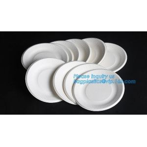 biodegradable sugarcane bagasse bowl,Food Grade Biodegradable Disposable