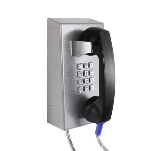 Cold Rolled Steel Vandal Resistant Telephone