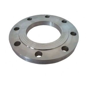 Casting Forged Weld Neck Thread Slip On Blind Flat Plate Stainless Steel Flange